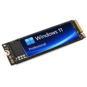 Preinstalled M.2 NVMe 2280 SSD with Windows 11 Professional 240GB